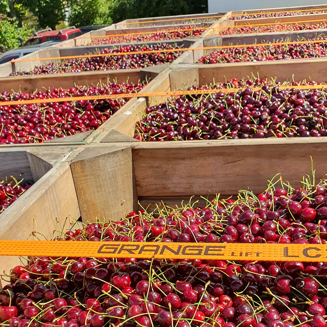 cherry-apple-cider-vinegar-tasmania