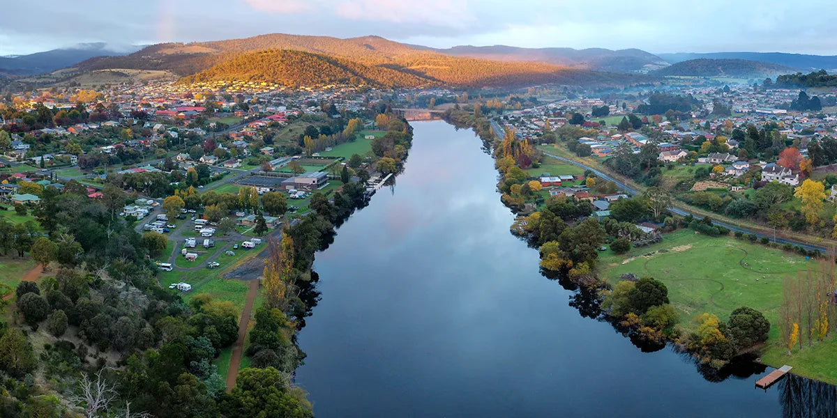 Derwent Valley Raspberry Our Region | Wild Mother Tasmania