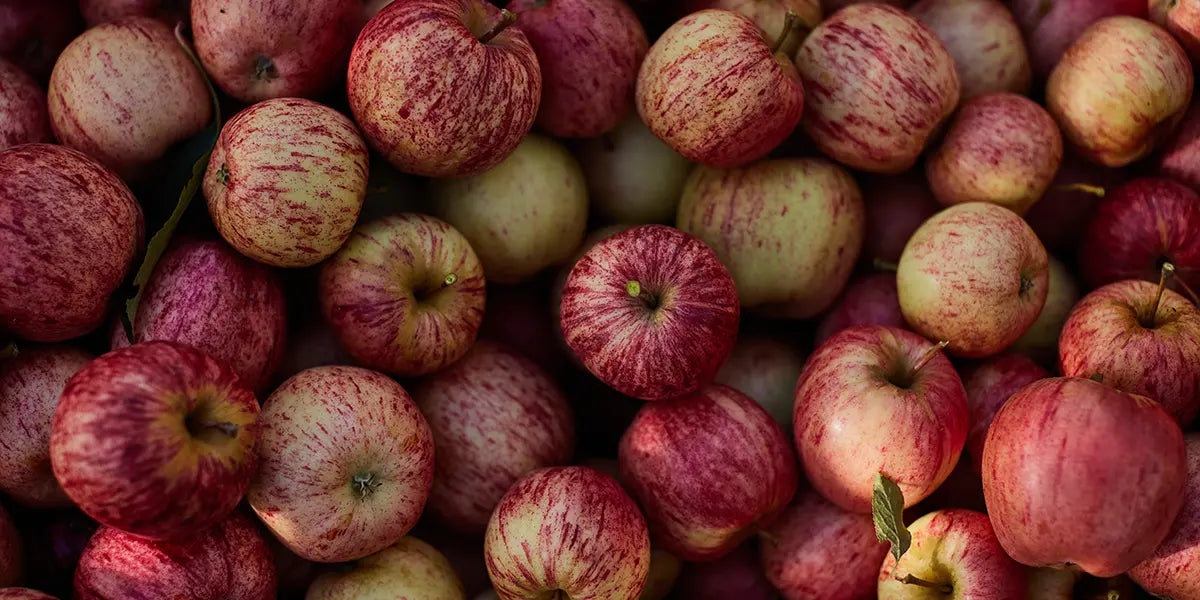 huon-valley-apple-cider-vinegar