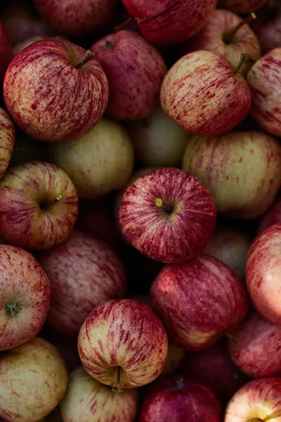 huon-valley-apples